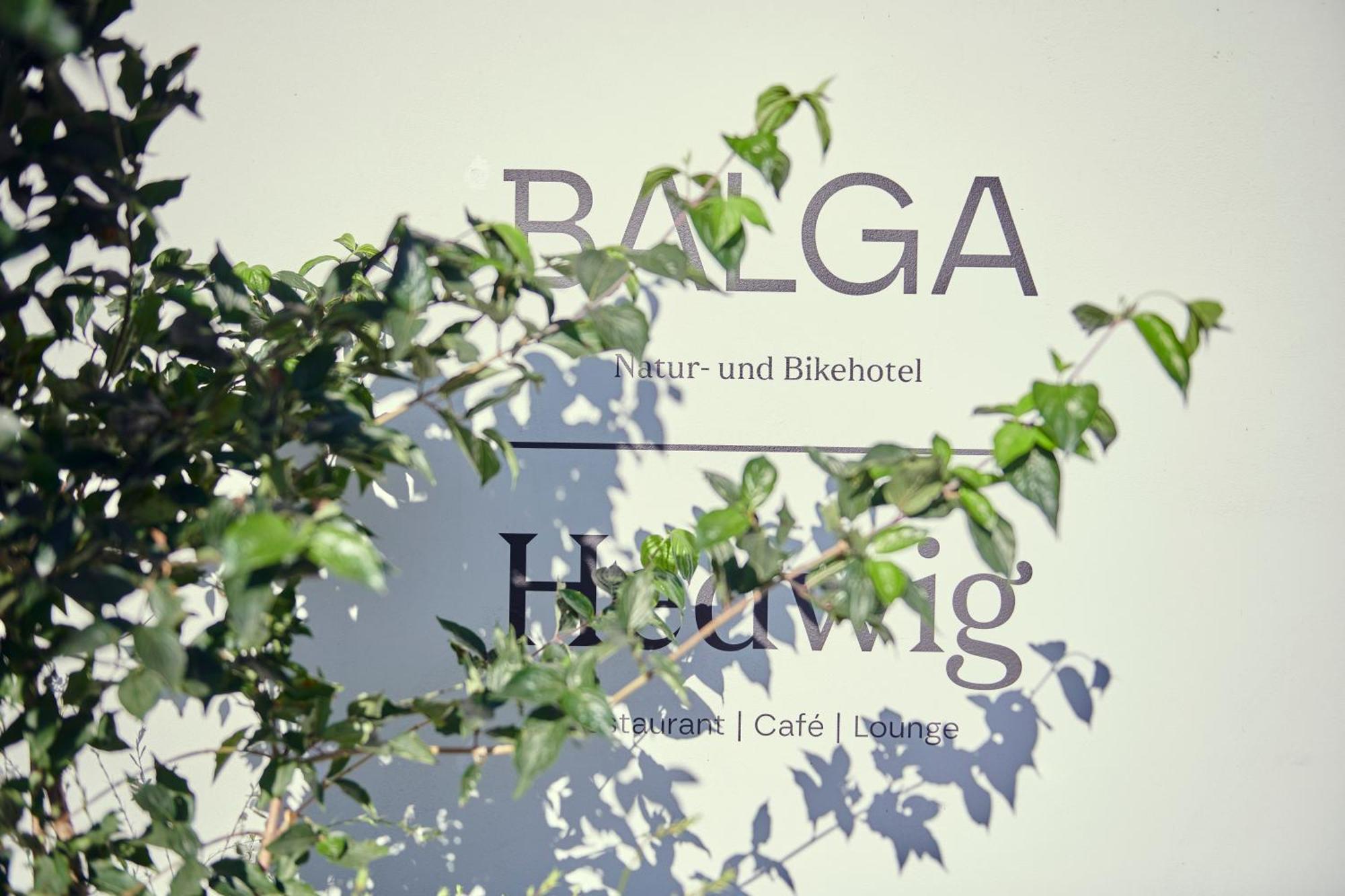 Hotel Balga Natur- Und Bikehotel Balgach ภายนอก รูปภาพ